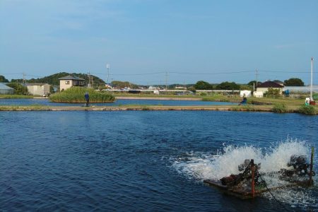 午後からのんびりと浜名湖フィッシングリゾートへ